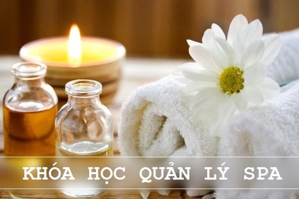 học cách quản lý spa