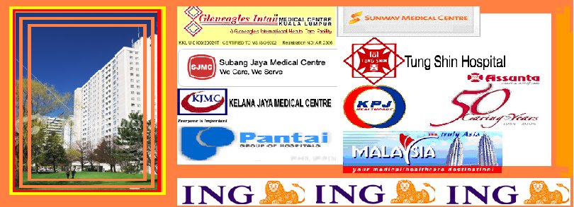 ING HOSPITAL PANEL
