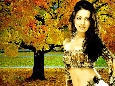 Amrita Rao Wallpapers 13 and Amrita Rao Movies Wallpapers