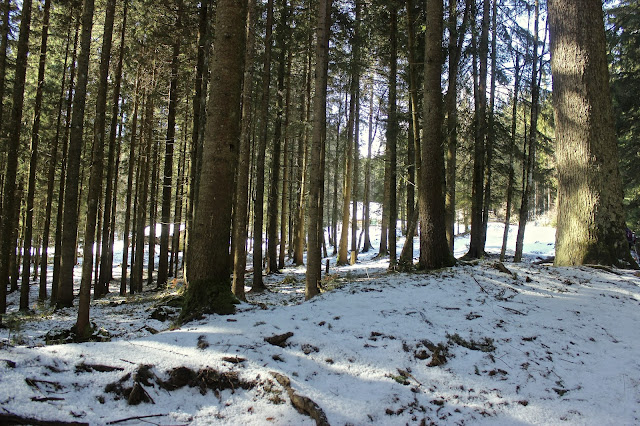 Hoverla