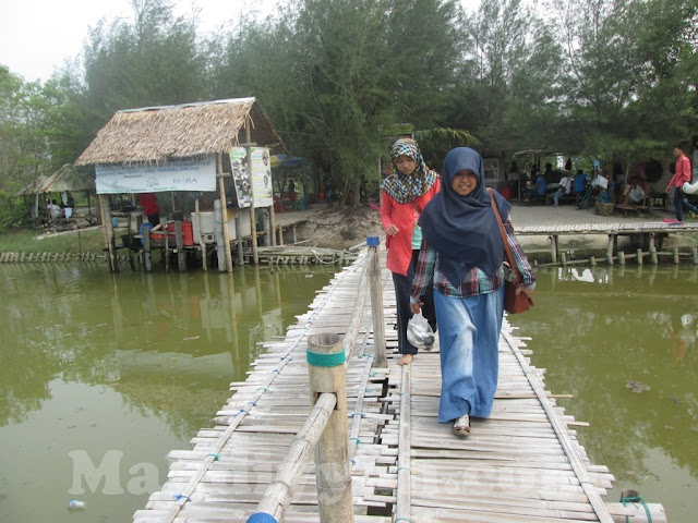 Pantai Mangrove, wisata sumatera utara, wisata pantai