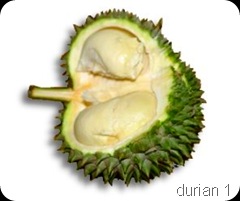 durain13