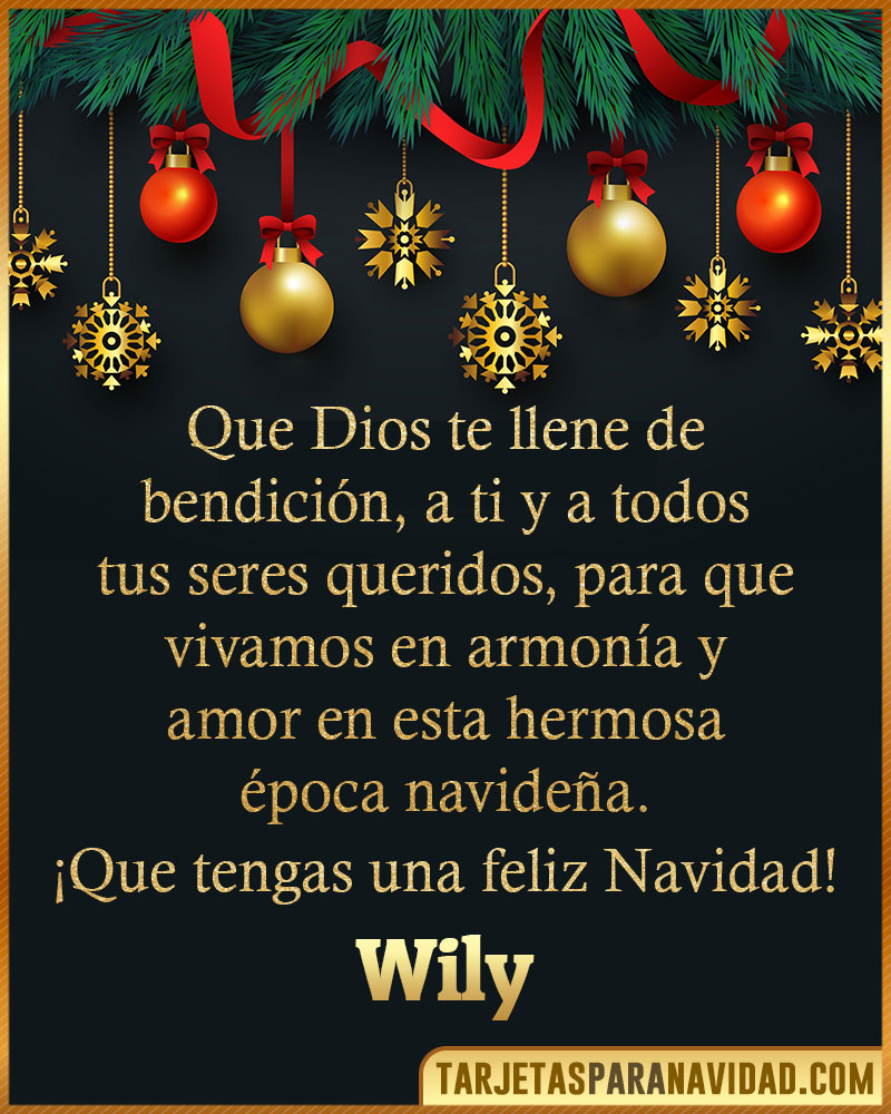 Frases cristianas de Navidad para Wily