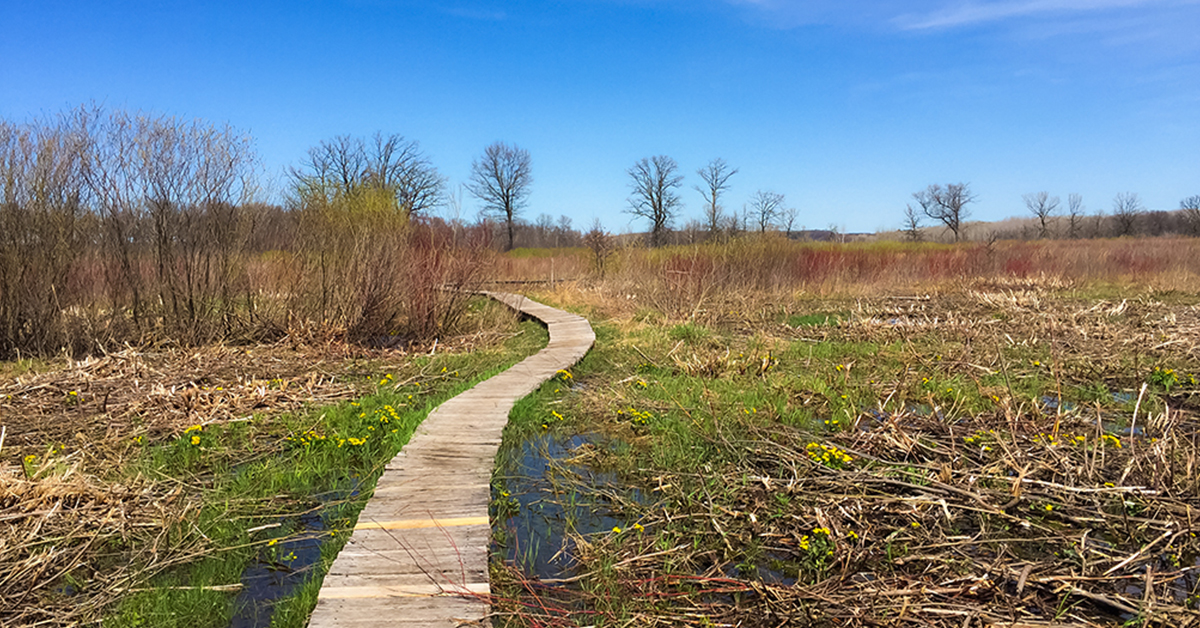 Trail Banner