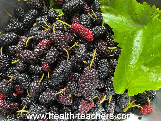Benefits of mulberry - Health-Teachers