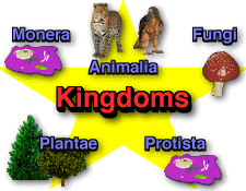 Klasifikasi Sistem 5 Kingdom - Falah Kharisma