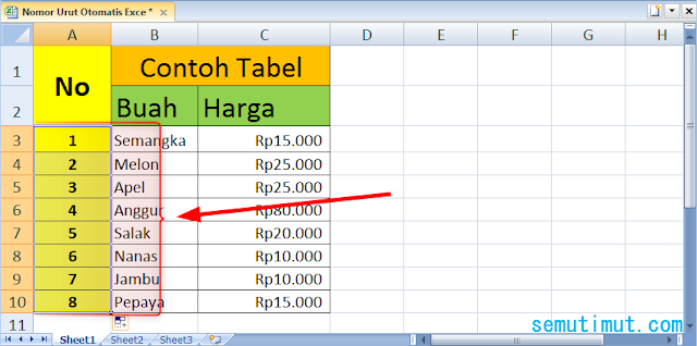 cara memberi nomor urut pada excel secara otomatis