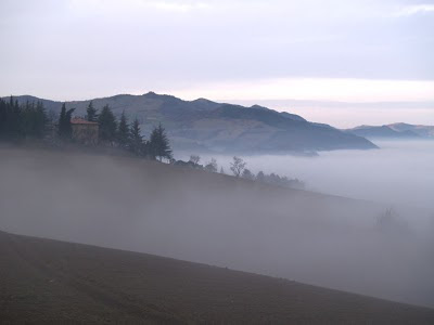 Nebbia a San Donnino