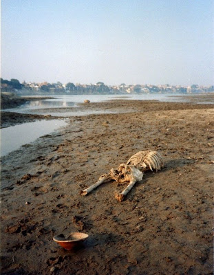 Sacred INDIAN RIVER Ganges