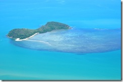 reef 1