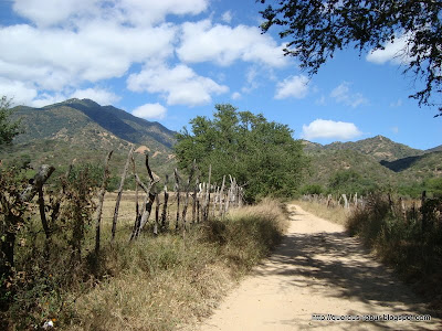 Cerro Grande de Ameca