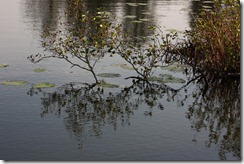 bilder 051
