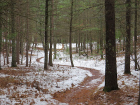 curving trail in light snow