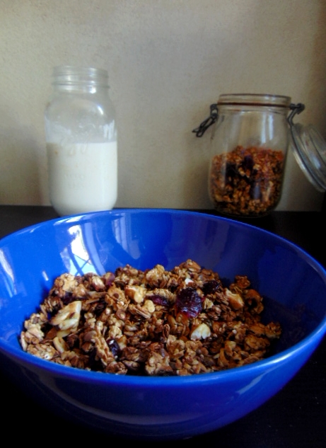 Granola cajou - cranberries cashew nut