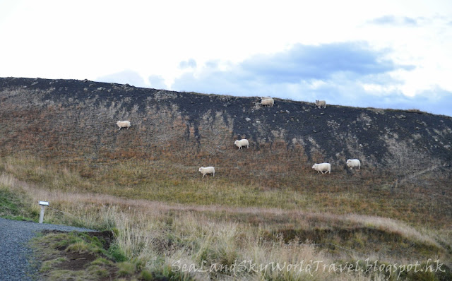 iceland, 冰島, Skútustaðagígar Pseuocrater, 假火山口