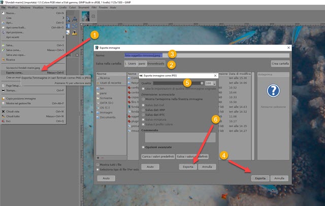 esportazione-file-gimp