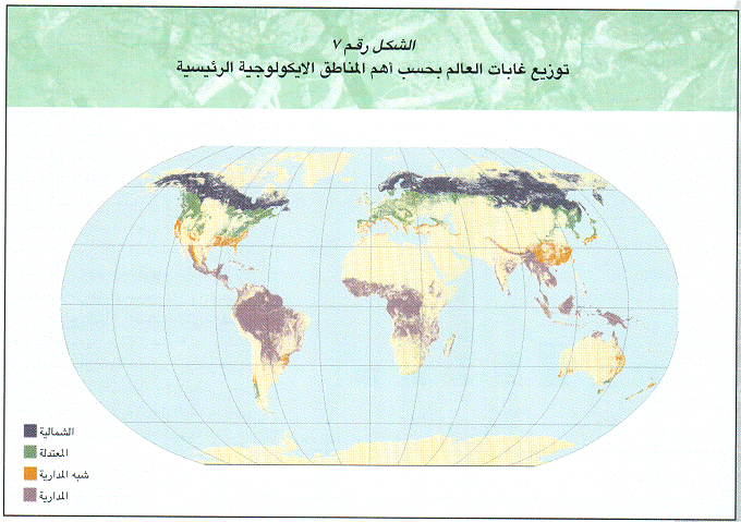 عالم الجغرافيا الغابات في العالم