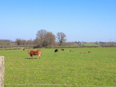 French Village Diaries cycling Vienne Charroux Poitou-Charentes