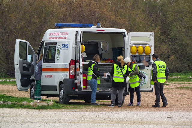 Ambulanza veterinaria, Terrazza Mascagni, Livorno