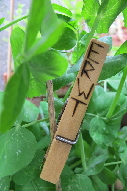 DIY's voor het nieuwe tuinseizoen