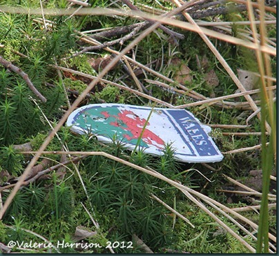 13-wales