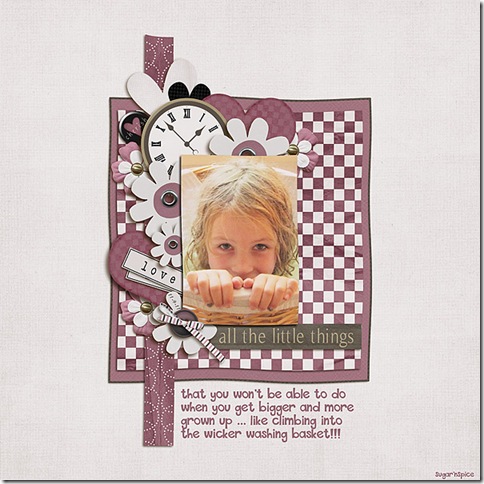 SnS-LittleThings