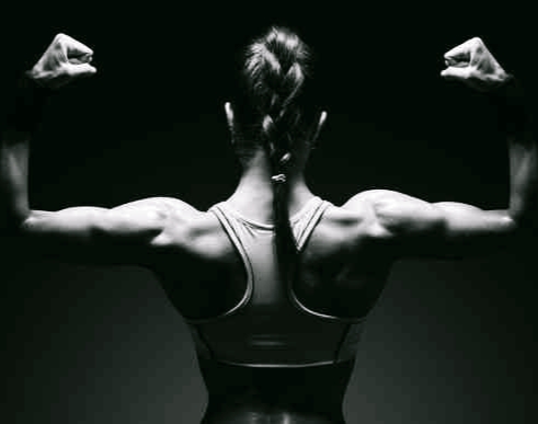 muscle building for women