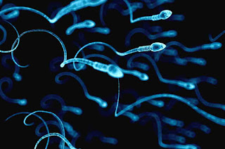 Surprising Benefits of  Sperm For Health and Beauty
