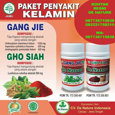 Daftar Obat infeksi saluran kencing Ampuh Dan Paten di apotik umum