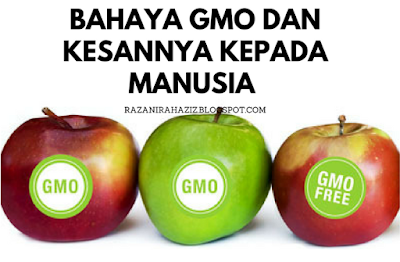 GMO, Non GMO, Protein, Nutrisi, Toksin