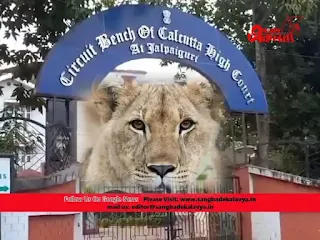 lion name change