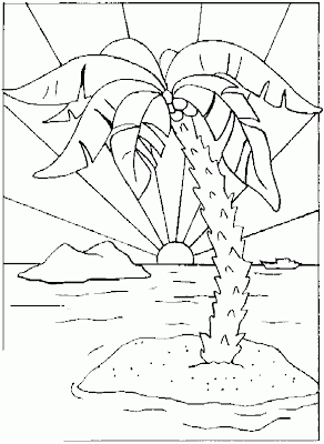 Desenhos de Palmeira para Colorir