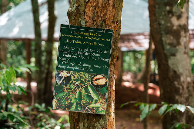 Trải nghiệm khám phá rừng nguyên sinh Mã Đà với hệ động thực vật phong phú