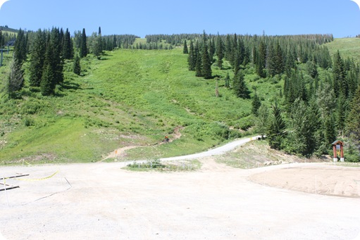 Schweitzer 023