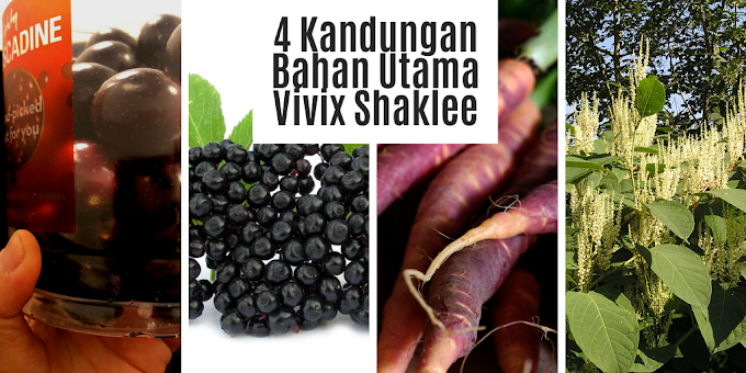 Info Produk: Vivix Shaklee