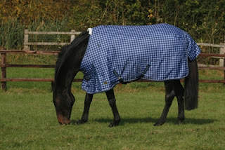 Quality cheap Mark Todd Lightweight Turnout Rug