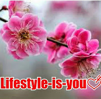 Lifestyle-is-you