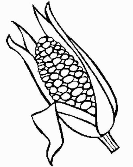 desenhos de espiga de milho para pintar