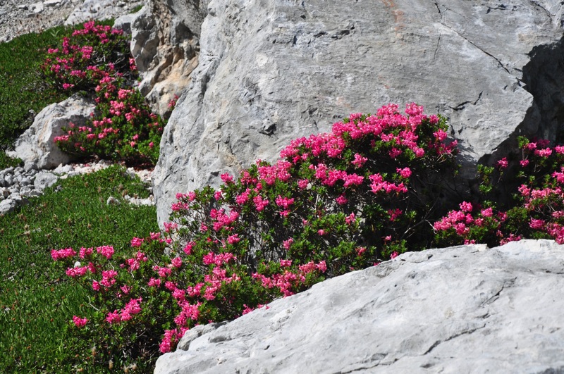 Lago Sorapiss