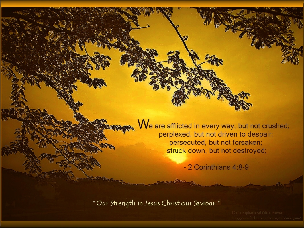 Christmas Cards 2012: Inspirational Bible Verse Wallpapers