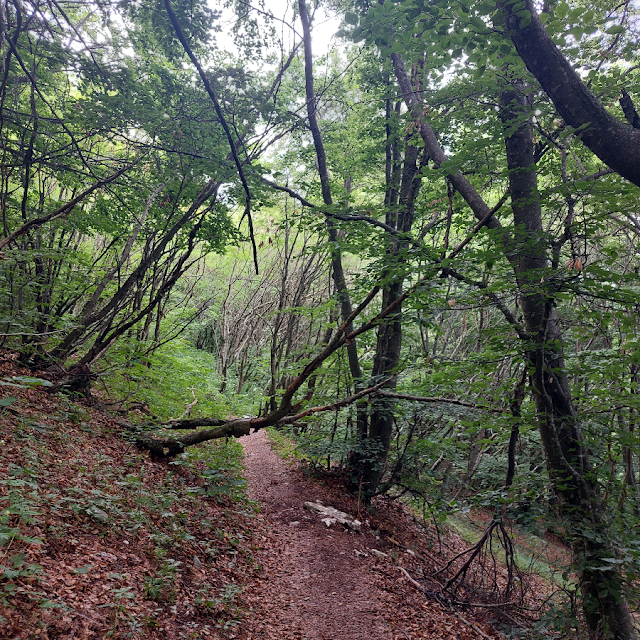 giro delle malghe monte baldo