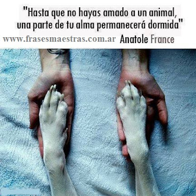 frases de Anatole France