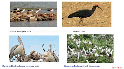 Kanjirankulam Bird Sanctuary Tamil Nadu  Facts In Brief