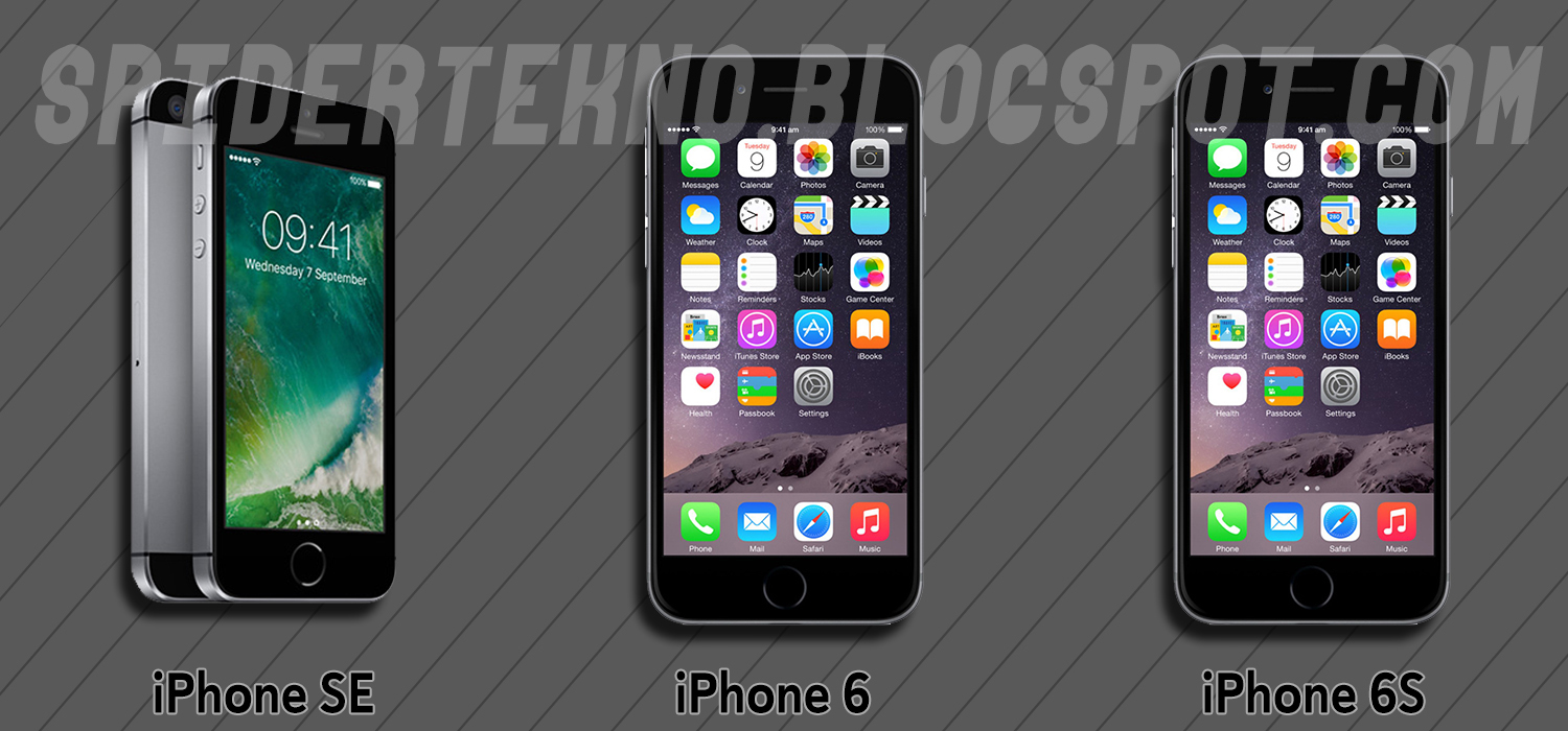 Perbedaan iPhone 6, iPhone SE, dan iPhone 6S - Spider Tekno