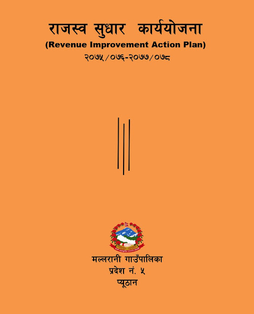 Mallarani Rural Municipality- Revenue Improvement Action Plan