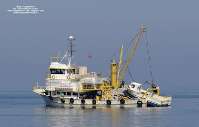 Husamettin Reis, Kuşadası