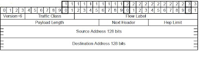 IPv6 Header Format