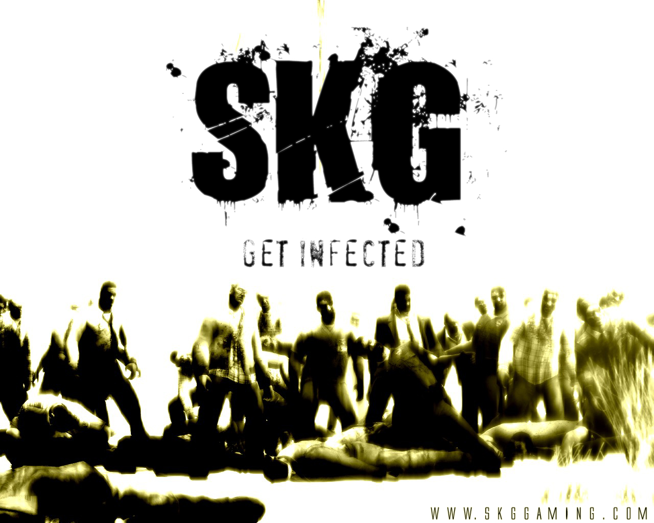 skg wallpaper skg wallpaper ecg wallpaper ecg wallpaper