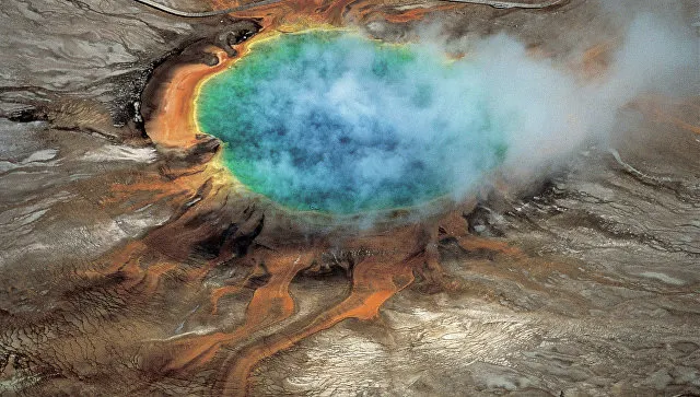 Scientists have found out how the Yellowstone superwolk appeared