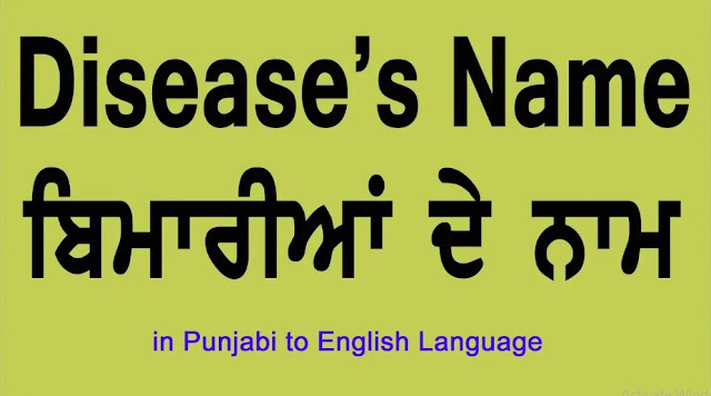 Diseases Name Punjabi and English